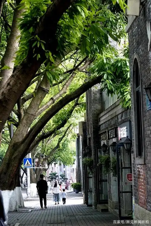 重庆最美街道,中山四路,电影少年的你,也在此取景