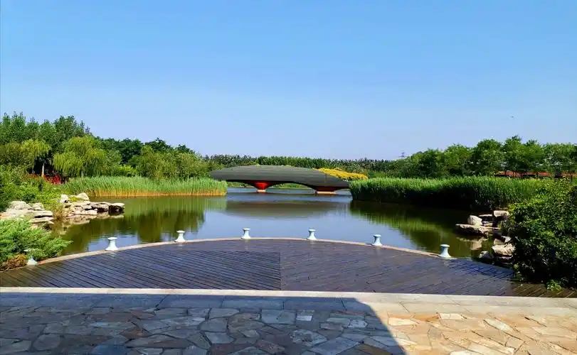 天津临港生态湿地公园