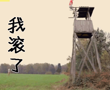 我滚了滚吧滚gif动图_动态图_表情包下载_soogif