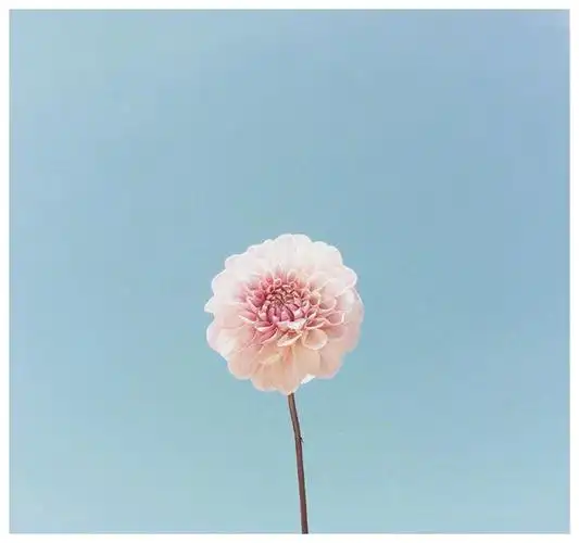 一个人心境淡然的唯美语句,经典至极,深度好文!__财经头条