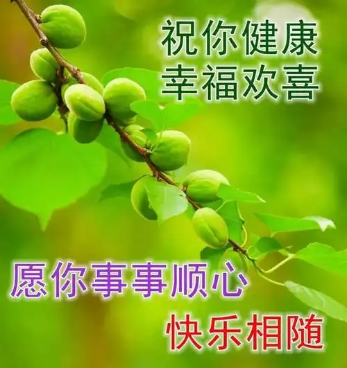 很温馨早安图片表情问候语录,早上好问候语暖心图片带字