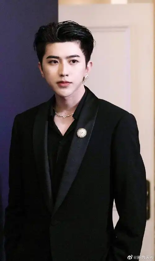 蔡徐坤宫廷风造型