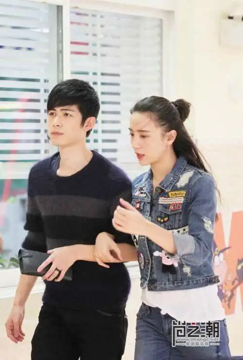 小宋佳和陈学冬为什么不和 曾被曝是小三插足于张黎婚姻