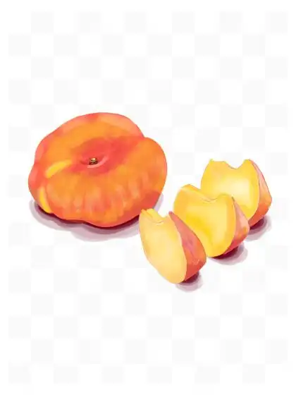 【蟠桃 插画】图片免费下载_蟠桃 插画素材_蟠桃 插画模板-千图网