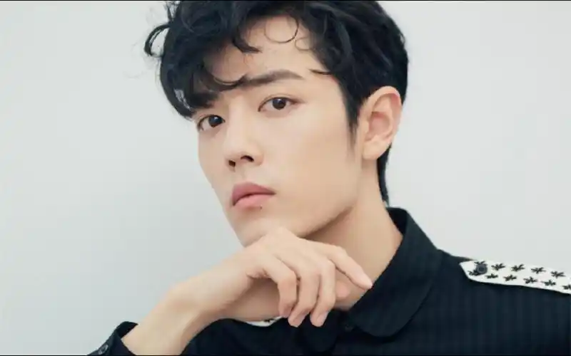 肖战深情演绎夜空中最亮的星