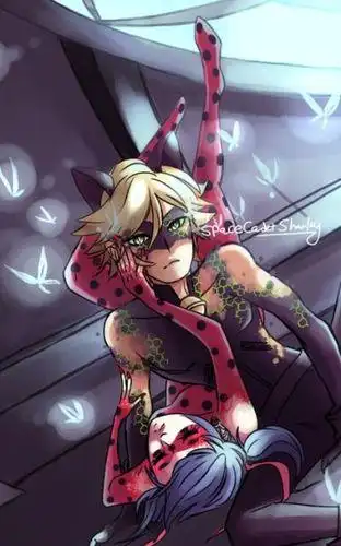 瓢虫雷迪与黑猫诺尔简笔画