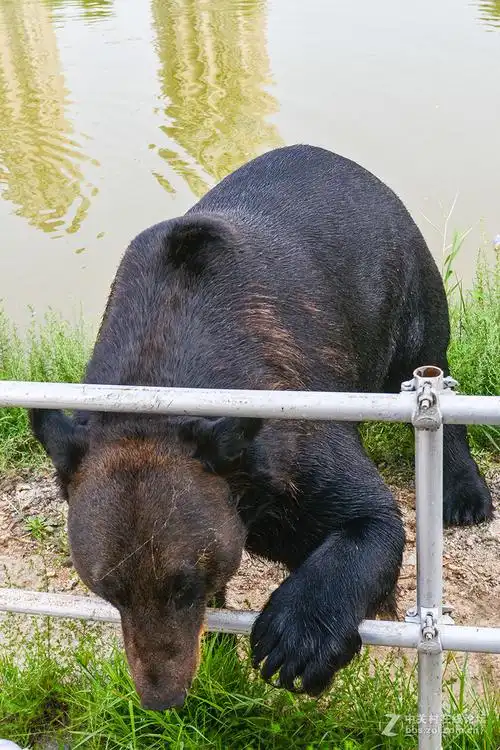旅顺野生动物园2016823
