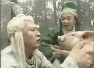 《春光灿烂猪八戒》里有只演技猪,当年的表现秒杀全场啊!