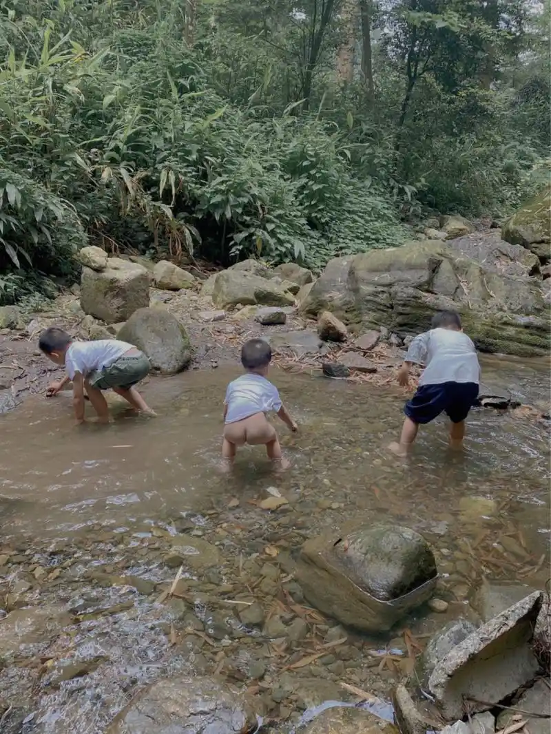 童年关于夏天的美好记忆,很多都是和溪水有关的.
