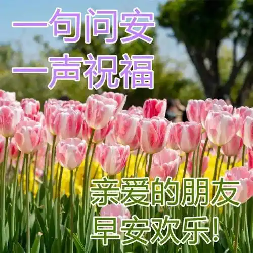 8张创意好看的春日清晨早上好祝福图片 免打字聊天的早安问候祝福语