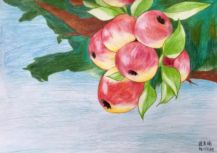 初二级美术期末考试,部分优秀作品展