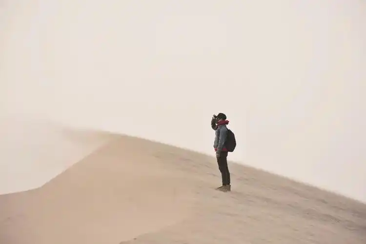 在这漫天的风沙里也只能独自前行