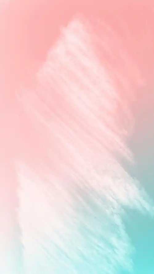 最近很喜欢的几张 柔和 梦幻 小猫