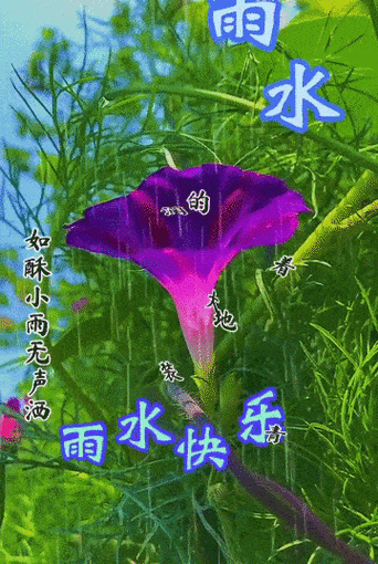 2022年2月19日正月十九雨水清晨早上好问候图片 雨水最新早安祝福图片