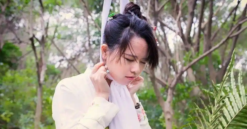 当臣子面对死亡时,通常有三种方式,分别是使用白绫,毒酒和宝剑.