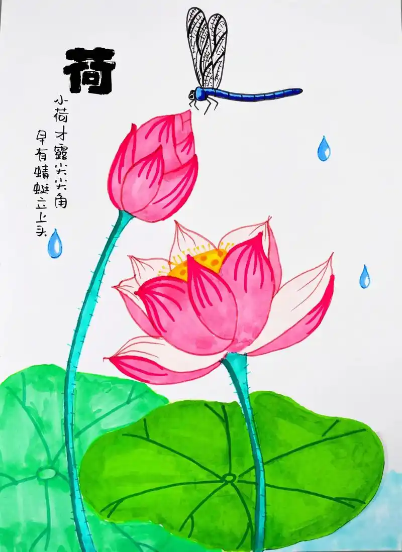 夏天画一副荷花蜻蜓图吧,小朋友一起画吧!@创作灵感小助手 @ - 抖音