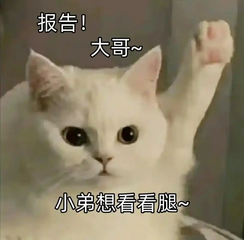 表情包 #发给对象表情包 #情侣日常 #套路表情包 #撩妹 - 抖音