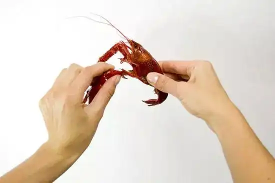 【吃法】红爆眉山朋友圈的小龙虾