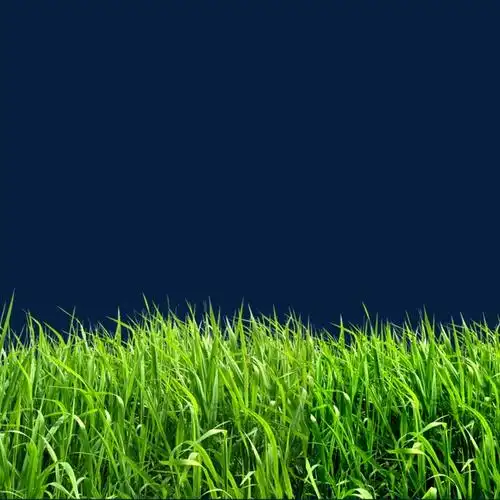 绿色草地素材png素材-90设计