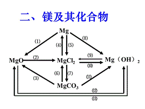 2,镁元素网络关系图-肖剑.ppt