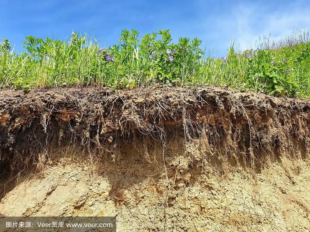 因滑坡而造成的土壤切割