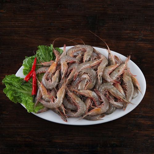 滑皮东海新鲜条虾壳虾条虾剑海鲜水产鲜活呛虾活虾