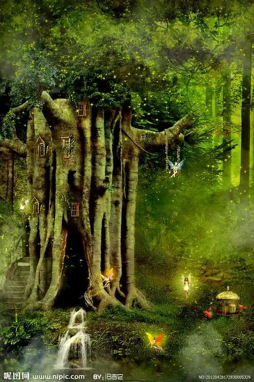 森林里梦幻般的精灵的国度