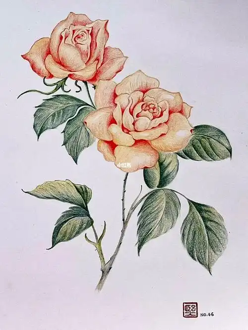 [种草r]马可雷诺阿系列120色#马可作品打卡  #彩铅花卉  #治愈  #彩铅