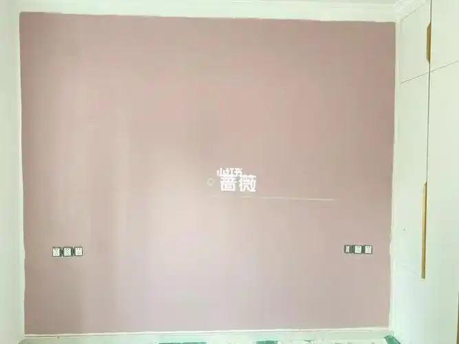 装修日记_日记_装修_蔷薇_乳酪_上色_cantata怎么样_立邦怎么样_家居