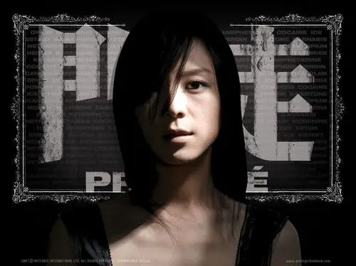 电影门徒精选壁纸