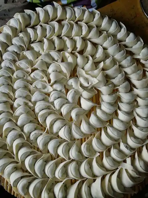 过年当然是少不了饺子了,看这样的饺子漂亮吧,一个个像金元宝