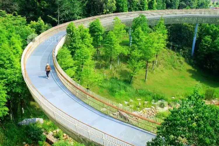 森林步道赏艺术-视觉江西-大江网首页