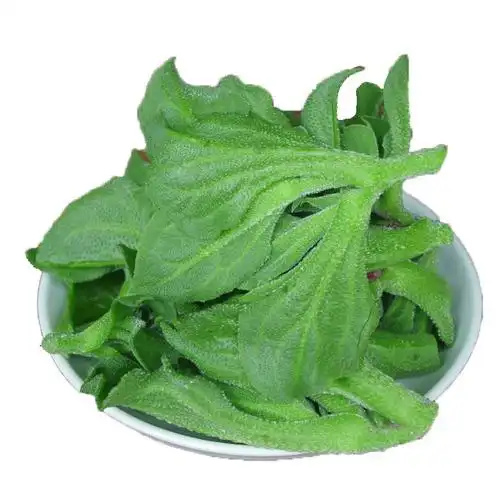 轻恋新鲜冰草蔬菜 冰菜 现摘冰晶冰菜非洲冰菜 沙拉蔬菜 4斤装【图片