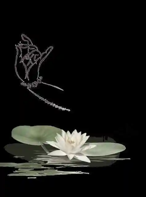 静心图片禅意手机壁纸,静心图片禅意修心_大山谷图库