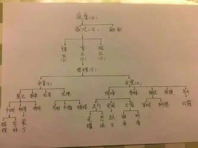 峰山龙氏上龙族谱简介