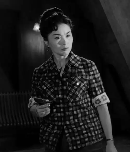 十部轰动中国的反特电影:从斗鲨到熊迹,从羊城暗哨到黑三角