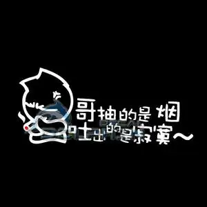 抽的烟吐的寂寞 搞笑车尾贴 汽车内饰装饰贴纸 汽车装饰用品 车贴