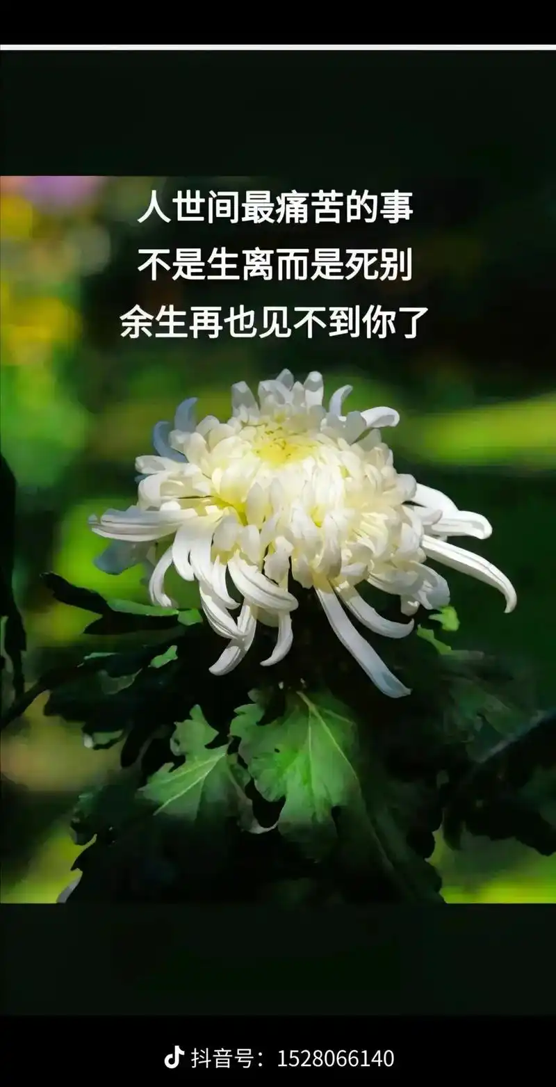 刘先生,今天是离开我们的第49天,也是你最后一个七了