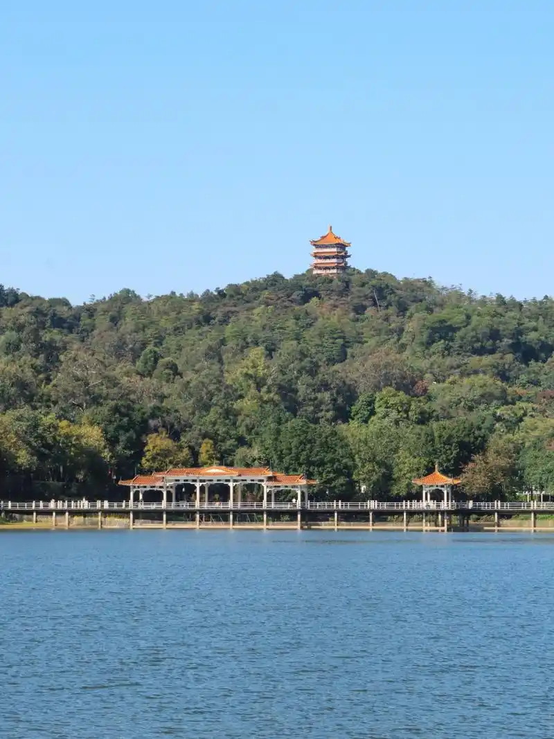 广州麓湖公园,太适合秋冬徒步了 下午14点,从公交车下车后,比麓湖先一