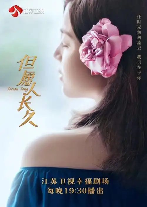 陈妍希,何润东,江珊,彭冠英,侯勇,吕一,倪虹洁等领衔主演的电视剧