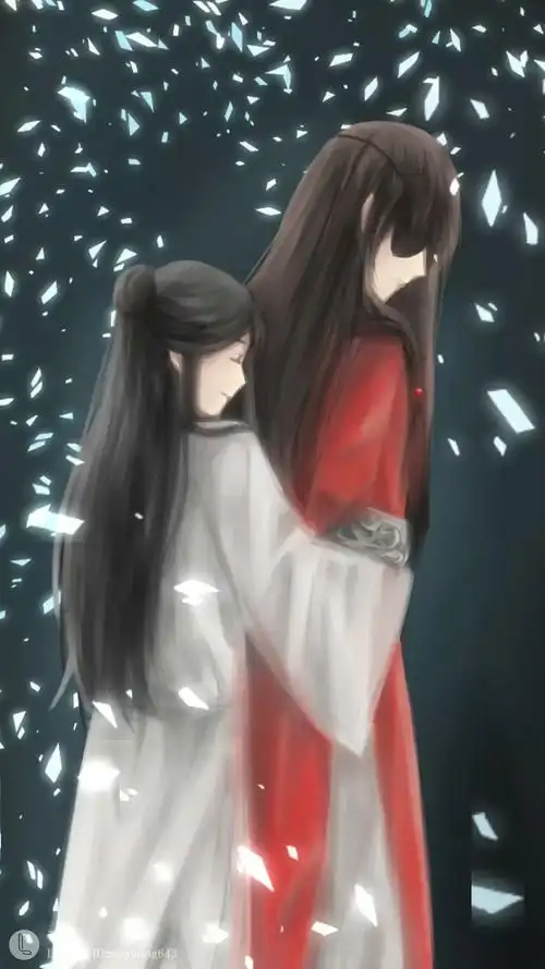 古风 天官赐福 花怜