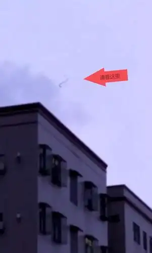 永州曝真龙视频,传说中的中国龙竟然真的存在?