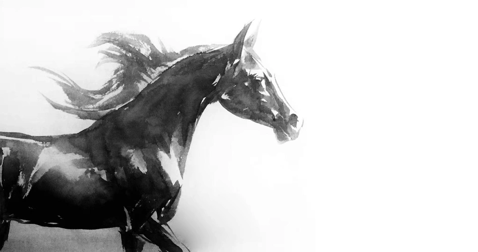 国画 水墨 马