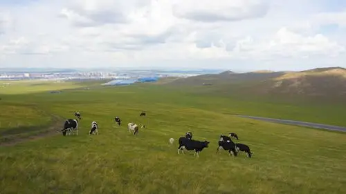 唯美蓝天绿草风景图片高清宽屏桌面壁纸