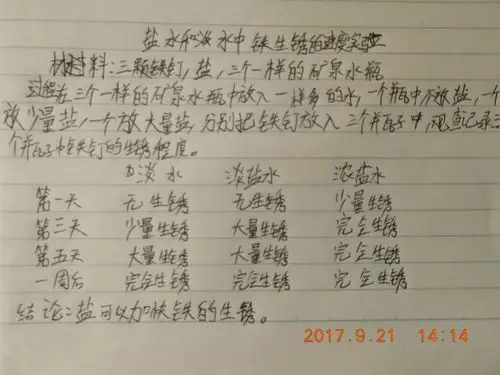 盐水可以加快铁钉的生锈速度,在整个实验中的缺点有没有每天记录实验
