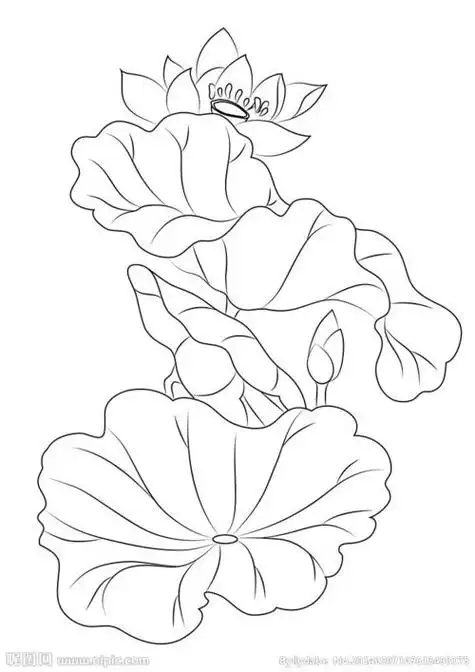 莲花图片大全简笔画 莲花图片大全简笔画简单