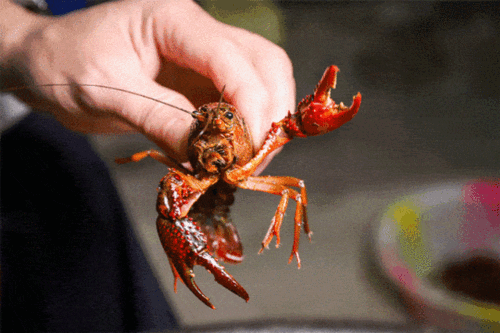 终于,对小龙虾下手了!_处理