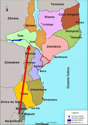 赞比亚预计将有序合法出口血檀【木材圈】