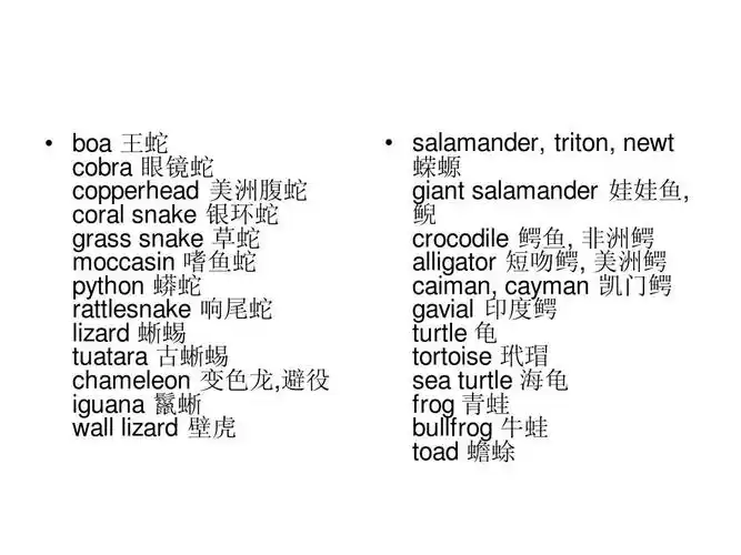 所有分类 外语学习 英语学习 各种动物的英文名ppt   boa 王蛇 cobra