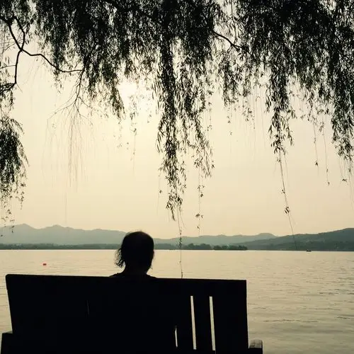 单身的我只能默默的找个地方看风景,看风景,看风景(照片非本人)西湖